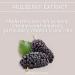 Zeeke Hollywood Secrets Pure Mulberry Powder Extract 50gm - Skin Brightening Formula - Buy Online on SooperMarket.com