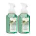 Bath & Body Works Oceanfront Garden Gentle Foaming Hand Soap 8.75 Ounce 2-Pack (Oceanfront Garden) 1.0 pounds Oceanfront Garden 8.75 Ounce