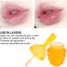 Hooleey Honey Lip Oil Long Lasting Hydrating Moisturizing High Shine Liquid Lip Balm for Daily Use - Buy Online on SooperMarket.com