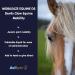 Aviform MOBILEAZE EQ Devil's Claw Equine Mobility Supplement with MSM 1000ml - Fast Delivery - Buy Online on SooperMarket.com