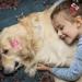 Larfraecy 16 PCS Dog Hair Clips Bone Shaped Pet Hair Barrettes Candy coloured kids hairpin bone bb clip pet hair accessories Mini Pet Hair Clip Bone Multi-colored hair accessories for dogs - Buy Online on SooperMarket.com