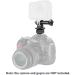 NEEWER Phone Holder & Hot Shoe Mount Kit for Action Cameras, GoPro, DJI OSMO, iPhone, Samsung - DSLR Camera & Ring Light Compatible - Buy Online on SooperMarket.com