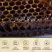 ONEROOT Canadian Raw Buckwheat Honey | Higher in Antioxidants Than Manuka (1 kg) 1 kg (Pack of 1) - Buy Online on SooperMarket.com
