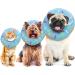 Xinzistar Soft Cat Collar - Adjustable Anti-Bite Safety Collar for Cats & Dogs (Blue Donut Size S) - Protective Pet Gear - Buy Online on SooperMarket.com