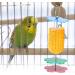 Fruit Holder for Parrots - Spit Fruit & Vegetable Skewers for Birds | Ideal for Budgies Nymphs & More - Buy Online on SooperMarket.com