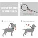 Fida Slip Rope Dog Lead - 1.8m One-Size-Fits-All Leash | Easy Slip-On Design, Reflective Stitching, Durable Climbers Rope - Large Green (1.3cm x 1.8m) - Buy Online on SooperMarket.com