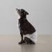 Amazon Basics Disposable Dog Diapers for Male Dogs - Small (30-Pack) | Premium Absorbency & Comfort - Buy Online on SooperMarket.com