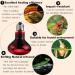 POFET 2pcs Reptile Heating Bulbs Durable Infrared Heat Lamp Warming Light Bulb Red Pet Light for Reptile and Amphibian Lizard Tortoise Spider Snake Chameleon 220-240V(100W) - Buy Online on SooperMarket.com