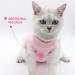 EASY JOY Cat Surgery Recovery Suit for Abdominal Wounds or Skin Diseases Cat Medical Surgical Clothes Onesies After Surgery E-Collar Alternative Kitten Post-Operative Recovery Vest Shirt (M Pink) M Pink1 - Buy Online on SooperMarket.com