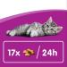 Whiskas Milk Kitten Treats - Delicious Snacks for Healthy Growth | 6 Pack x 66g Chicken | Ideal for 2-12 Months Old Cats - Buy Online on SooperMarket.com