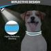 Joytale Baby Blue Dog Collar - Softly Padded Neoprene Nylon Reflective Collar for Small Dogs | 1 Pack - Buy Online on SooperMarket.com