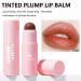 Plumping Lip Balm: Hydrating Tinted Lip Polish for Dry, Cracked Lips - Deep Nourishing Moisturizing Lip Gloss (Brown Vermeil) - Buy Online on SooperMarket.com
