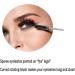 XPP Disposable Eyelash Brushes 100PCS Eye Brow Spoolie Castor Oil Brush Mascara Wands - Crystal Black - Buy Online on SooperMarket.com