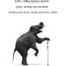 Folding Cane Adjustable Lightweight Aluminum Offset Cane-Foldable Cane Very Suitable for Daily Life to Assist Restricted Exercise Golden - Buy Online on SooperMarket.com