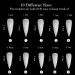 1200PC French False Nail Tips | Acrylic Stiletto Form - Full Cover 10 Sizes Clear & Natural for Salon Mani Pedi - Buy Online on SooperMarket.com