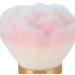 Powder Blush Brushes Set Makeup Brush Set Multipurpose with Storage Bag for Salon - Buy Online on SooperMarket.com