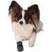 TRIXIE Water-Repellent Dog Shoes - Paw Protection for Small Breeds Black 2-Piece Set (Pack of 3) - Buy Online on SooperMarket.com