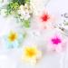 4 Pieces Hawaii Hair Clip Flowers - Beach Hair Accessories for Girls & Women | Perfect for Parties & Vacations - Buy Online on SooperMarket.com