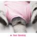 Cat Recovery Suit for Abdominal Wounds and Skin Diseases - Vet Recommended E-Collar Alternative - Medium Pink - Buy Online on SooperMarket.com