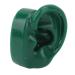 Kadimendium Simulated Ear Model Pair - Water Resistant & Durable for Acupuncture Clinics (Green) - Buy Online on SooperMarket.com