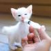 Buy Baby Bird Feeding Syringe - 1 Piece Dispenser with 20 Sterile Hoses for Small Animals Kittens & Puppies - Ideal for Scientific & Industrial Labs - Buy Online on SooperMarket.com
