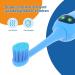NBGRLVS Kids Sonic Electric Toothbrush | 2 Modes with Memory | 2 Min Timer | IPX7 Waterproof | Rechargeable Kids Toothbrush for Age 3+ | Blue - Buy Online on SooperMarket.com
