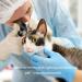 Pet First Aid Kit Veterinary First Aid Bag for Dog Cat Rabbit Animal with Otoscope feeder Perfect for Home Care and Outdoor Travel Emergencies - Buy Online on SooperMarket.com