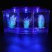 Aquarium Fish Tank Transparent Aquarium Fish Tank LED Acrylic Three Divisions Breeding Isolation Box for Small Fishes Mini Breeding Fish Tank (Purple) - Buy Online on SooperMarket.com
