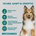Healthy Dog Co 6-in-1 Natural Dog Shampoo & Conditioner - Odor Control Gentle & Moisturizing for Long Hair - 500ml Puppy Shampoo - Buy Online on SooperMarket.com