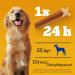 Pedigree Dentastix Daily Oral Care for Large Dogs (25kg+) 56 Pieces - Chicken & Beef Dog Treats for Healthy Teeth - Buy Online on SooperMarket.com