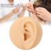 Human Ear Model Left Ear Soft Lifelike Fake Ear Model for Teaching Demonstration - Buy Online on SooperMarket.com