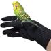 alfyng Bird Training Anti-Bite Gloves Small Animal Handling Gloves Chewing Protective Gloves for Small Animal Pet Squirrels Hamster Parrotlets Cockatiels Finch Macaw (1 Pair)
