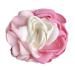 Sweet Rose Flower Hair Claws Set - 2PCS Pink & Pink Blue | Women's Hair Accessories - Buy Online on SooperMarket.com