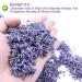 Buy 100% Pure Natural Dried Lavender Tea - Premium Lavender Buds 50g for Baking & Baths - Buy Online on SooperMarket.com