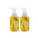 Bath & Body Works Pineapple Mango Gentle Foaming Hand Soap 8.75 Ounce 2-Pack (Pineapple Mango)