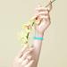 Surundo Slim Silicone Band for Fitbit Charge 5 - 8 Color Options - Buy Online on SooperMarket.com