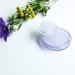 Wazakura Clear Ikebana Kenzan Japanese Flower Holder  Made in Japan  Plastic Floral Arranging Pin Frog  Round - 3(78mm) Clear - Buy Online on SooperMarket.com