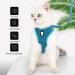 Shop Lianzimau Ultra Light Adjustable Cat Dishes & Escape Protection Running Vest for Kittens & Puppies - Turquoise | 1 Pack - Buy Online on SooperMarket.com