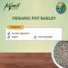 Koalakoi ORGANIC Pot Barley (4.5kg) Premium non-GMO Barley | High Fibre Content | Great For Blood Sugar Regulation and Weight Management (4.5kg) - Buy Online on SooperMarket.com