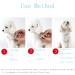 Teck Neck Band for Dogs & Cats | Adjustable Tick & Flea Collar | 100% Natural Ingredients | Up to 8 Months Protection - Buy Online on SooperMarket.com