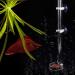 Fish Shrimp Feeder Tube and Plate Acrylic Clear Shrimp Feeding Tube Aquarium Fish Tank Feeder for Crystal Shrimp Tropical Fish(20cm) - Buy Online on SooperMarket.com