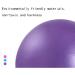 9-Inch Mini Yoga Ball for Home Exercise Pilates & Physical Therapy - Purple - Buy Online on SooperMarket.com