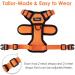 Breakproof Cat Leash Set & Adjustable Soft Kitten Vest - Reflective Stripes | Orange Small Dishes for Kittens - Buy Online on SooperMarket.com