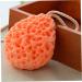 NOLITOY 9 Pcs Natural Exfoliating Bath Sponge Set | Honeycomb Shower Sponges & Face Brushes for Kids | International Shipping - Buy Online on SooperMarket.com