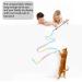 JJYPET Cat Wand Toys - Colorful Interactive Kittens Teaser Wand String for Indoor Cats - 3PCS - Buy Online on SooperMarket.com