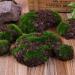 12Pcs Artificial Rock Moss Balls - Garden Decor & Floral Arrangements DIY - Buy Online on SooperMarket.com
