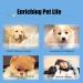 Buy Smandy Dog Door Bells - Effective Training Potty Bells for Pets | Blue Dog Communication & Cleanliness Training - Buy Online on SooperMarket.com