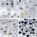 3D Flower Nail Charms 200 Pcs White Black Clear Acrylic Camellia Nail Art Charms Rose Butterfly Nail Rhinestones Gems Jewelry with Mini Caviar Beads Pearls (White+Black+Clear) - Buy Online on SooperMarket.com