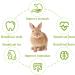 Premium Timothy Hay Sticks: Natural & Nutritious Treats for Small Pets - Buy Online on SooperMarket.com