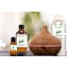 Eucalyptus Essential Oil - 100% Pure - 16 fl oz | Natural Eucalyptus Oil - Buy Online on SooperMarket.com
